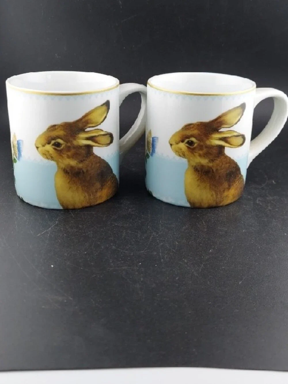 Willians Sonoma Spring Garden Bunnies  Ceramic Mug Set - Blue and White